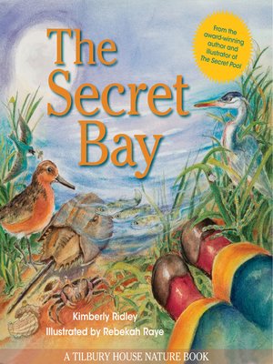 cover image of The Secret Bay